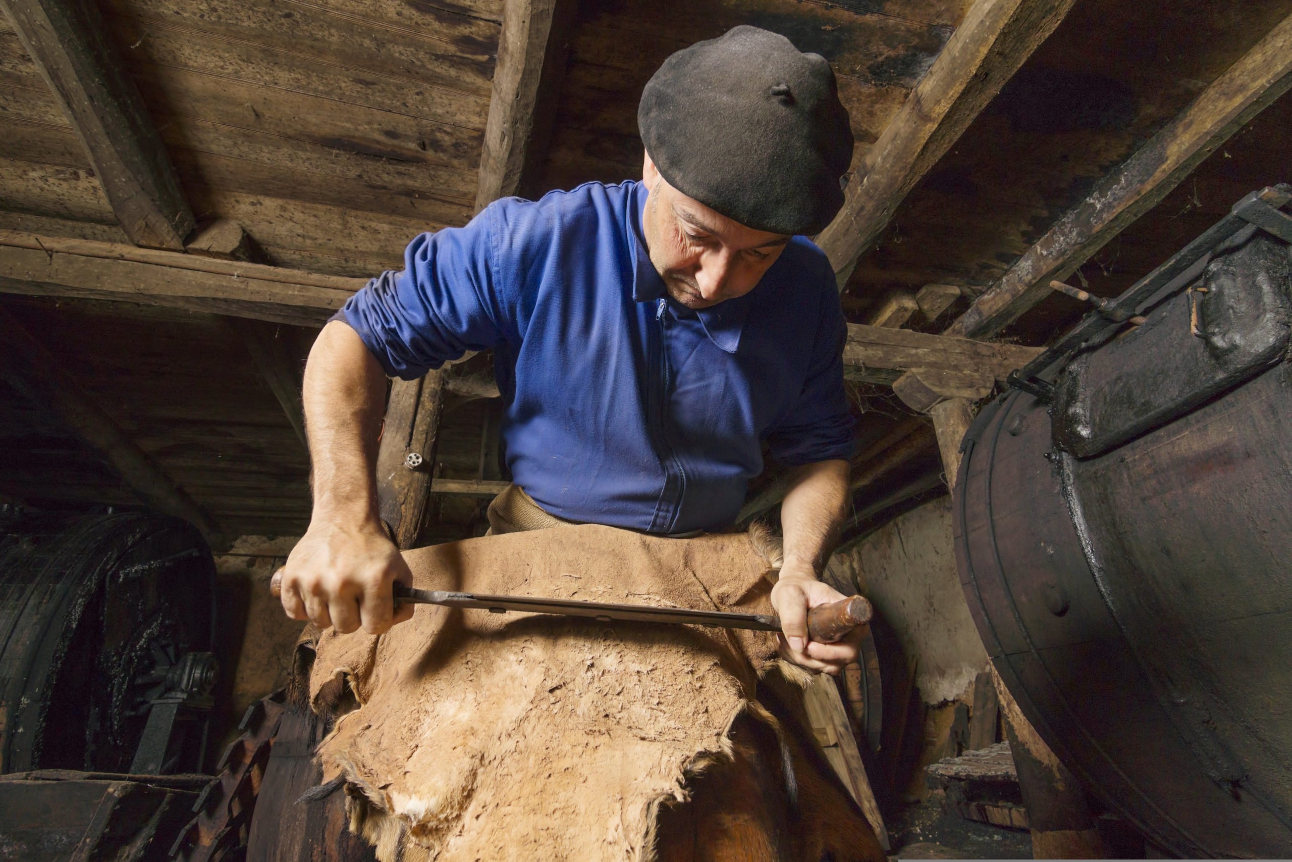 man with cow hide