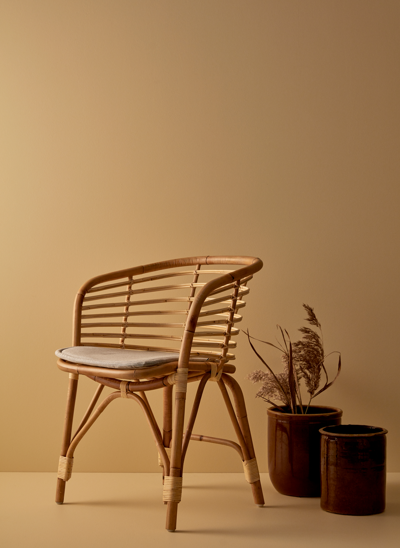 Rattan chair with cushion, potted grasses, against beige background.