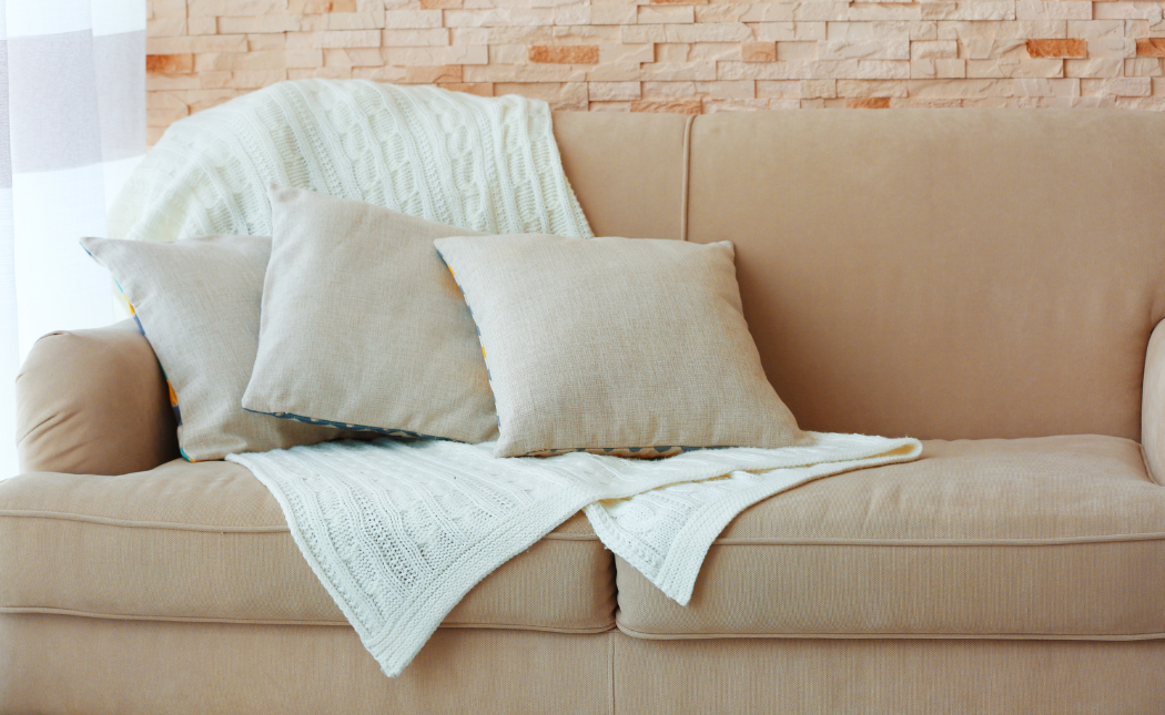 The Essential Guide to PetProofing Your Couch