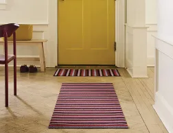 Evenstripeberry