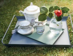 Alto Tray Large Pic