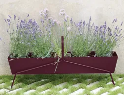 Basket Range Long Black Cherry