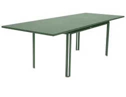Costa Extendable Table Cactus