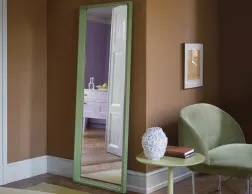 Arced Mirror Web