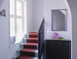 Arced Mirror Web