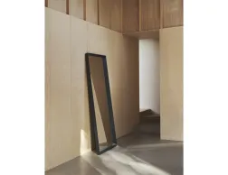 Arced Mirror Web