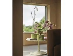 Ridge Planter Range Insitu