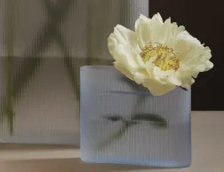 Ridge Vase Range Small
