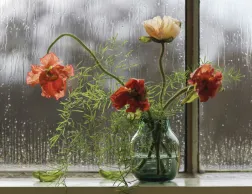 Silent Vase Medium