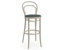 Stool 14 Pigment CatB