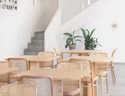 811 Chair Cane Back Veneer Seat Insitu