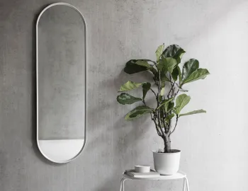 Menu Mirror 0019 Layer