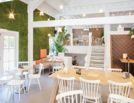 Ironica Dining Chair Insitu