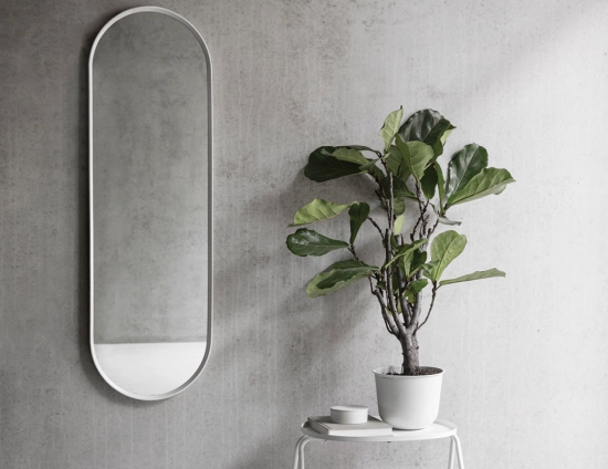 Menu Mirror 0019 Layer