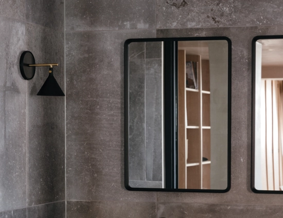 Menu Mirror 0023 Layer