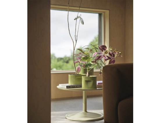 Ridge Planter Range Insitu