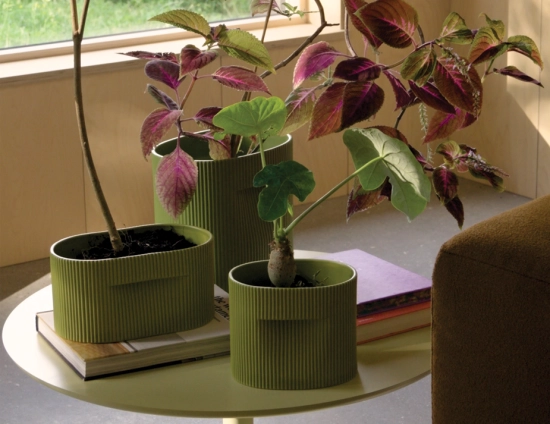 Ridge Planter Range Insitu