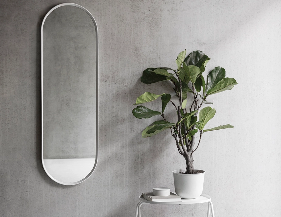 Menu Mirror 0019 Layer