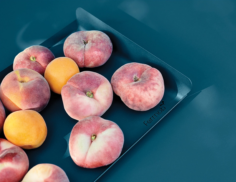 Alto Tray Range Pic