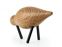 Shorebird19