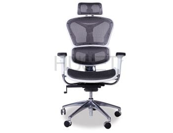 Vytas Chrome ErgoMesh Grey Mesh / White Plastic Ergonomic Office Chair with Headrest image