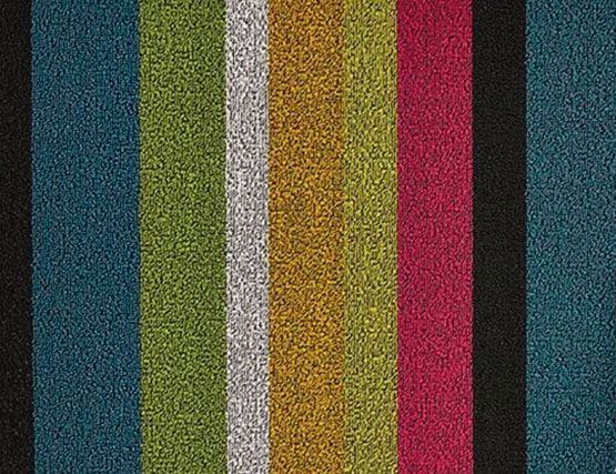 Multi Bold