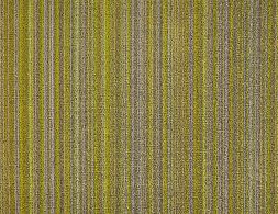 Shag Citron