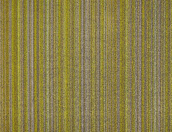 Shag Citron