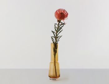 Hurricane Vase No. 44 by Rebecca Uth for Ro image