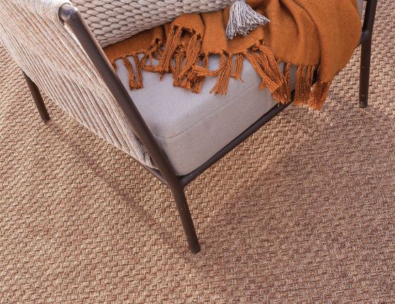 Contemporary Indoor Outdoor Rug