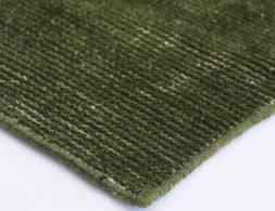 Contemporary Left Green Indoor Outdoor Rug