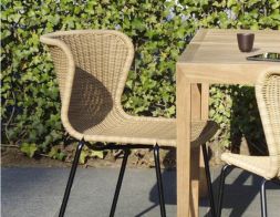 C603 Dining Chair