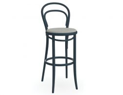 Stool 14 Pigment CatD