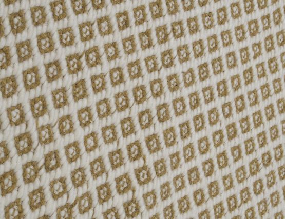 Rubick Honey Ivory_0005_Rubick Honey Ivory The Rug Collection Detail 1
