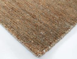 Webready5