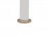 Nutmeg image