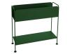 Cedar Green     