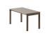 Taupe/Dark Oiled Oak - Plain image