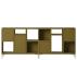 Brown Green image